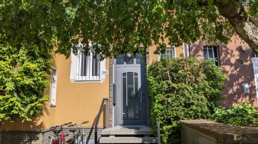 Haustür Klassisch grau in Köln